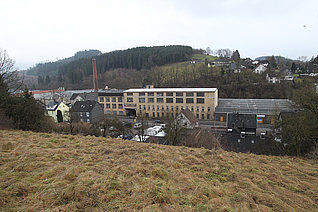 Industriehof Schönenthal (ehem. Fa. Wahlefeld) 2011